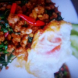 กระเพราในแคมป์ เจ้อ้วน.1