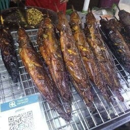 ปลาดุกอบโอ่ง  เจ้เพชร (ราชพฤกษ์)