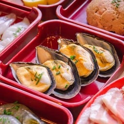 หอยแมลงภู่ชิลี