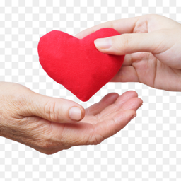 Share Your Kindness ❤️ with the Rider Siblings 🛵