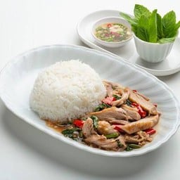 ข้าวกะเพราเป็ดพะโล้