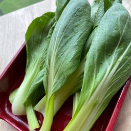 ผักฮ่องเต้