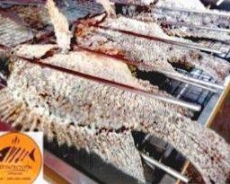 ปลา ล้วน ล้วน