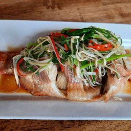 ปลาทับทิมนึ่งซีอิ๊ว Steamed Red Tilapia Fish with soy sauce