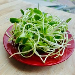 ฮิมาวาริ