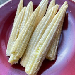 ข้าวโพดอ่อน