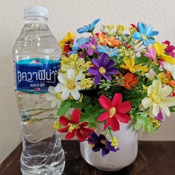 น้ำเปล่าแช่เย็น