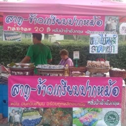 ปากหม้อ-สาคูหลังป่าช้าอังกฤษ
