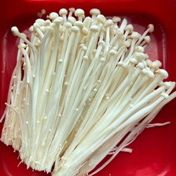 เห็ดเข็มทอง