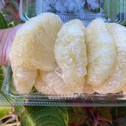 นินะห์ขนมบดินและส้มโอขาวใหญ่