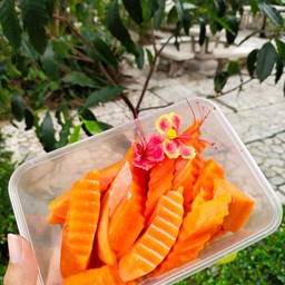 ผลไม้และน้ำปั่นคุณตาล โรงอาหารคณะวิทย์