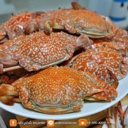 ปูม้านึ่ง3-4ตัวโล นึ่งพร้อมทาน