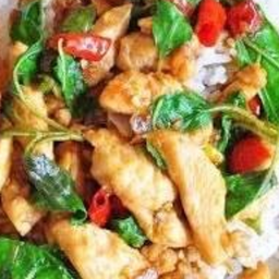 ข้าวกระเพราไก่