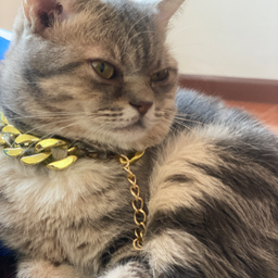 หมูกรอบ  เด็กเสริฟ หาเงินเลี้ยงลูก3 เมียอีก4 มาอุดหนุนกันนะคับ  ป๋มจะได้มีตังเลี้ยงลูก😅😅😅