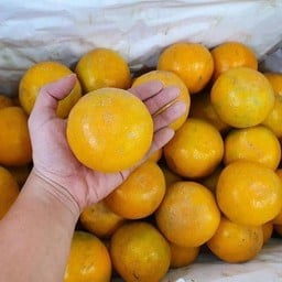 ส้มสายน้ำผึ้ง ฝาง เบอร์7 หวานๆๆ 1กิโลกรัม