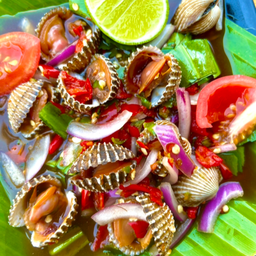 ไหลบัวหอยแครง