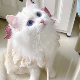 เซ็ตเมนูพิซซ่า+ทานเล่น สำหรับ 1-2 ท่าน