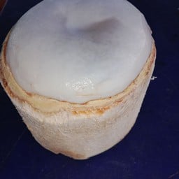 เจ้พรโคโค่นัท 1