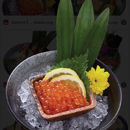 Ikura Sashimi ไข่ปลาแชลซาชิมิ