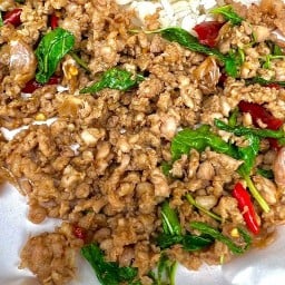 กะเพราคอนโด