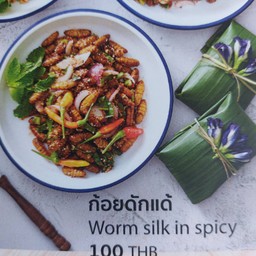 ก้อยดักแด้