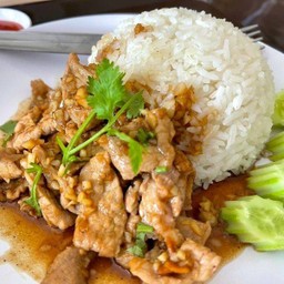 ข้าวราดหมูทะเทียม