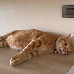 ผมชื่อปิติ