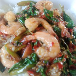 กระเพรากุ้งราดข้าว