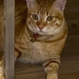 ผมมีชื่อเล่นว่า พี่ตุ๊