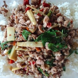 ผัดกะเพราหมูสับใส่หน่อไม้ราดข้าว