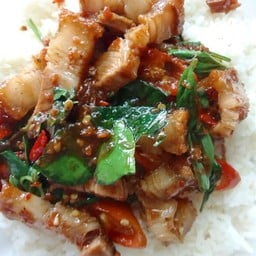 ผัดพริกแกงหมูกรอบราดข้าว