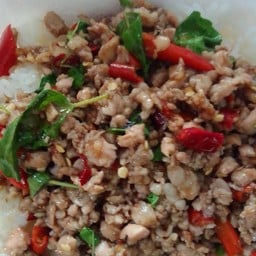 กะเพราหมูสับราดข้าว