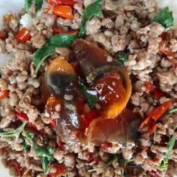 กะเพราไข่เยี่ยวม้าราดข้าว