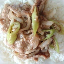 ผัดพริกอ่อนหมูราดข้าว