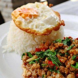 กระเพราหมูสับราดข้าว