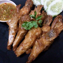 ครีบปลาแซลมอนทอด
