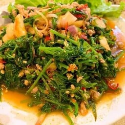 ยำผักกูดหมูสับ