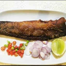 ปลาดุกร้า