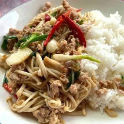 ผัดเห็ดเข็มทองราดข้าว