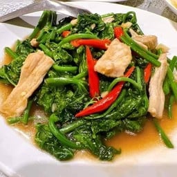 ผัดผักแม้วหมู