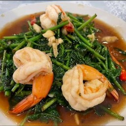 ผัดผักกูดกุ้งสด