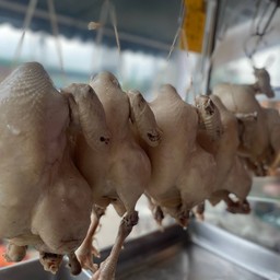 ไก่ต้มยกตัว