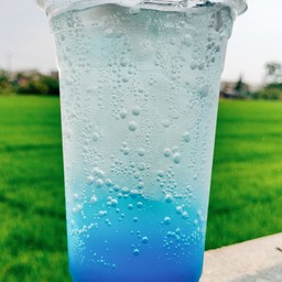 ตำปากเปิด(4289)