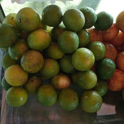 น้ำมะนาวโซดา