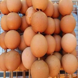 ไข่ปิ้ง