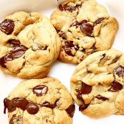 CHOCOLATE CHIP