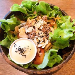 M7. สลัดทูน่า (เสริฟ์พร้อมน้ำสลัดครีม)