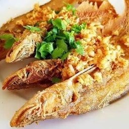 ปลาเนื้ออ่อนทอดกระเทียม