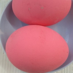 ไข่เยยี่วม้า