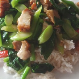 ข้าวราดคะน้าหมูกรอบ